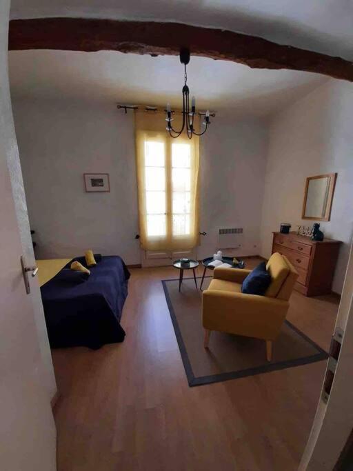 Historic French Townhouse Villa Saint-Thibery ภายนอก รูปภาพ